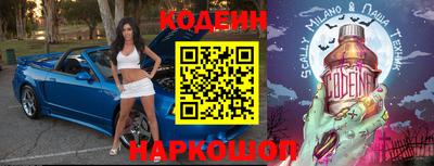 СК Новодвинск