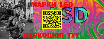 СК Новодвинск