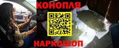 СК Новодвинск