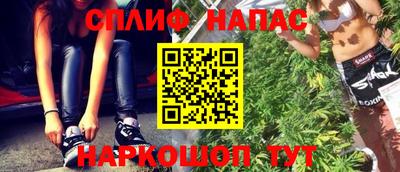 СК Новодвинск