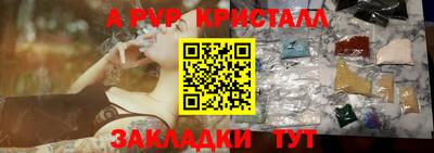 СК Новодвинск