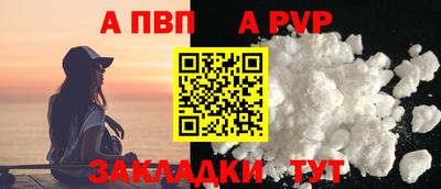 СК Новодвинск