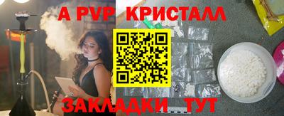 СК Новодвинск
