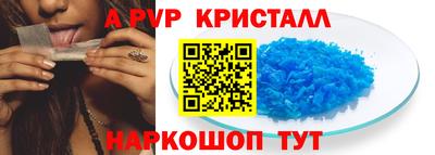 СК Новодвинск