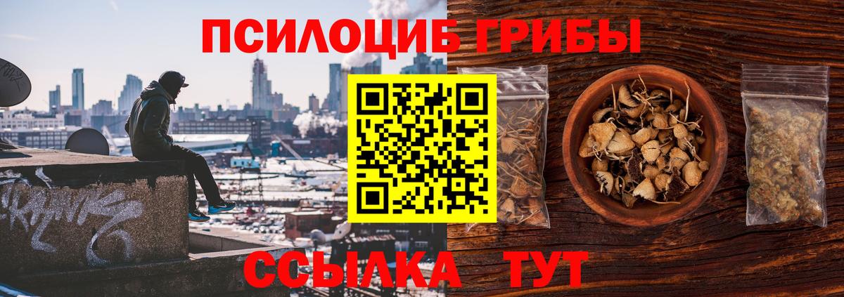Галлюциногенные грибы мицелий  Вход с VPN  Псилоцибиновые грибы Magic Shrooms  Тобольск 